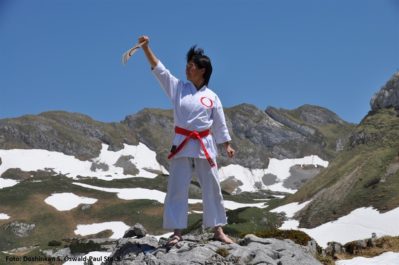 Hanshi Masako Fujimoto-Stock